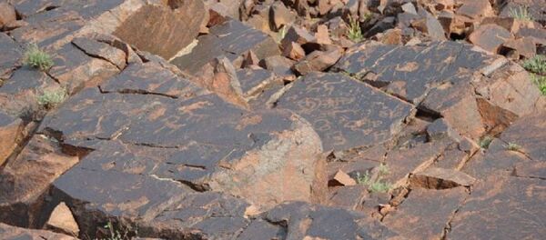 Ученые обнаружили в Узбекистане древнейшие наскальные рисунки - Sputnik Узбекистан