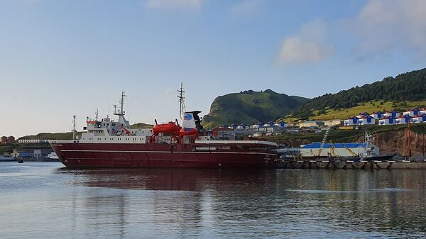 Дружба и Надежда жителей острова Шикотан - Sputnik Узбекистан