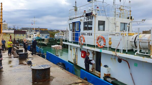 Дружба и Надежда жителей острова Шикотан - Sputnik Узбекистан