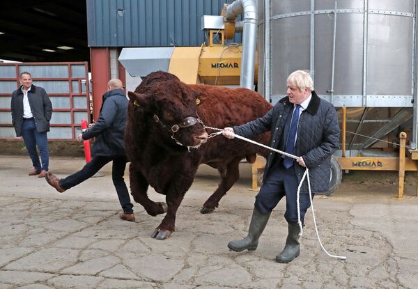 Премьер-министр Великобритании Борис Джонсон посетил ферму в Шотландии - Sputnik Узбекистан