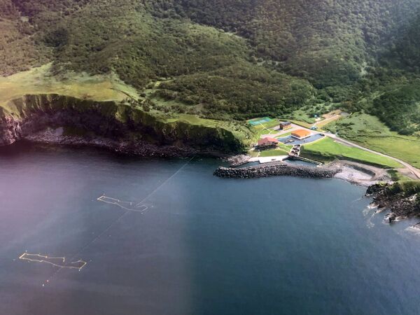 Прирученная экзотика: контрасты острова Итуруп - Sputnik Узбекистан