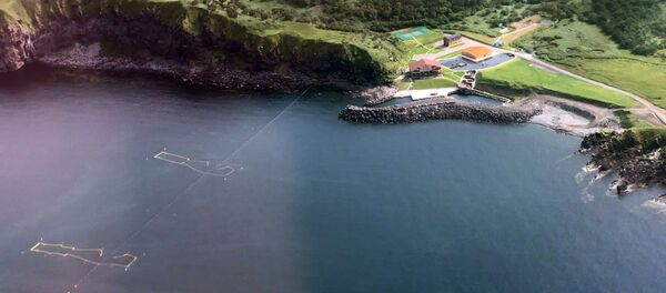 Вид на остров Итуруп с борта самолета - Sputnik Узбекистан