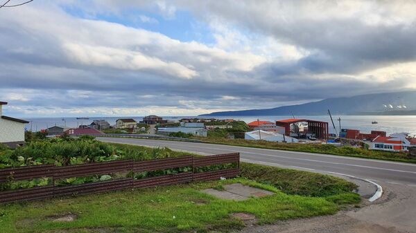 Печаль в глазах японцев: как живет остров Кунашир сегодня Печаль в глазах японцев: как живет остров Кунашир сегодня - Sputnik Узбекистан