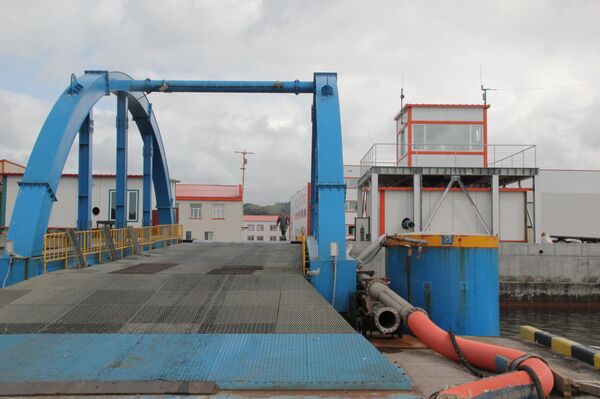 Золотая рыбка — это не сказка: исландцы едут на самый современный завод России - Sputnik Узбекистан