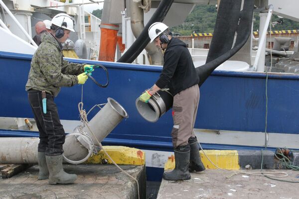 Золотая рыбка — это не сказка: исландцы едут на самый современный завод России - Sputnik Узбекистан