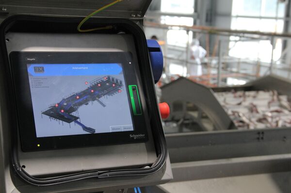 Минтай первой свежести: как работает самый современный рыбозавод в России - Sputnik Узбекистан