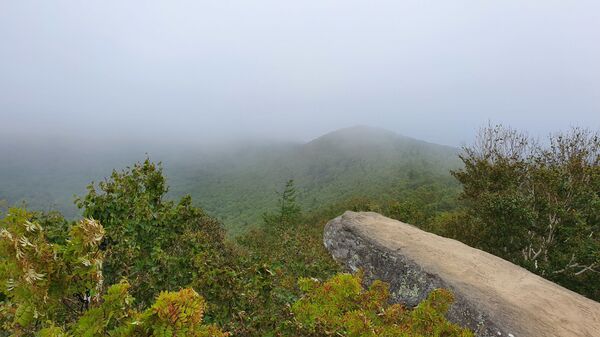 Афротатары уже не экзотика: кто проживает на Сахалине сегодня Афротатары уже не экзотика: кто проживает на Сахалине сегодня - Sputnik Узбекистан