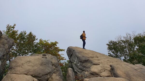 Потратить сто долларов и не пожалеть: чем способен удивить Сахалин - Sputnik Узбекистан