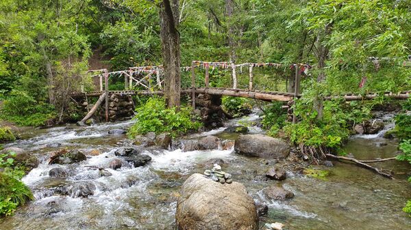 Потратить сто долларов и не пожалеть: чем способен удивить Сахалин - Sputnik Узбекистан