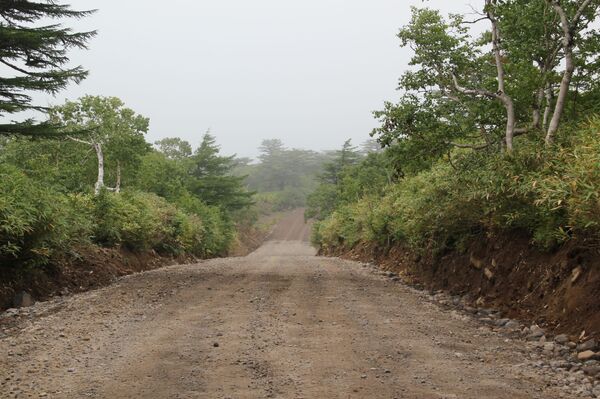 Строители из Узбекистана: на Курилах не обманывают — это не Москва - Sputnik Узбекистан