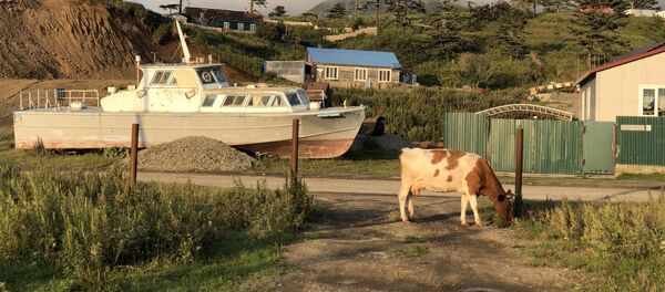 На маленьком Шикотане море и океан видны с любой точки. Но даже обычные пейзажи деревенской жизни не обходятся без морской тематики. - Sputnik Узбекистан