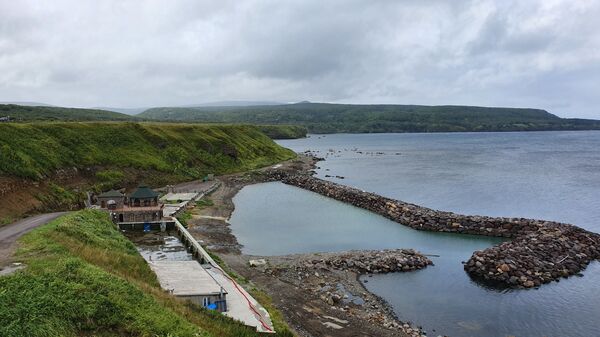 Сюда не приезжают пить кока-колу: что делать туристу на Курильских островах - Sputnik Узбекистан