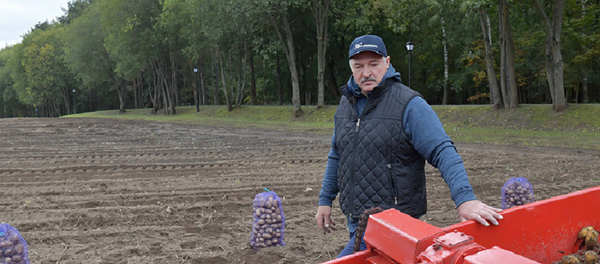Лукашенко собрал урожай узбекских дынь на собственных полях Лукашенко собрал урожай узбекских дынь на собственных полях - Sputnik Ўзбекистон