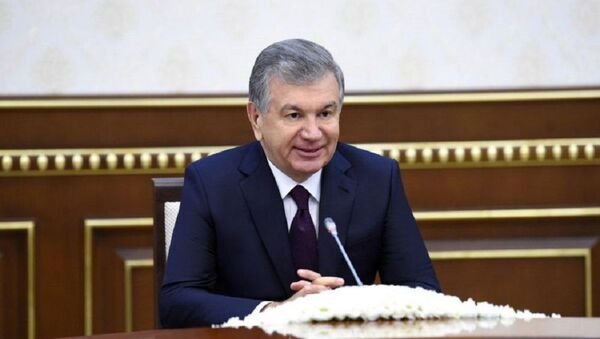 Prezident Uzbekistana prinyal spesdokladchika Soveta po pravam cheloveka OON - Sputnik O‘zbekiston