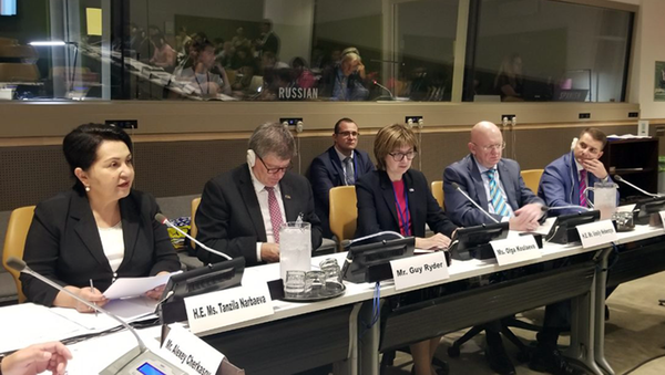 Сенатор Т.Нарбаева  во время совещания на  74-й сессии ГА ООН.  - Sputnik Ўзбекистон