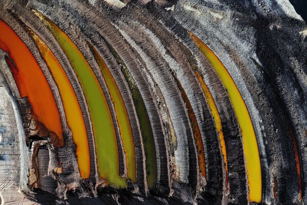Снимок Remains of the Forest фотографа J Henry Fair, получивший приз 2019 Climate Action and Energy Prize в рамках конкурса The Environmental Photographer of the Year 2019 - Sputnik Узбекистан
