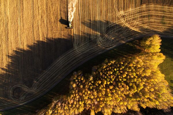 Уборка урожая зерновых в Новосибирской области - Sputnik Узбекистан