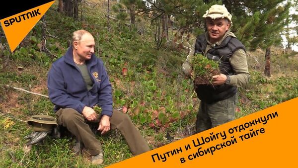 Путин и Шойгу отдохнули в сибирской тайге - Sputnik Узбекистан