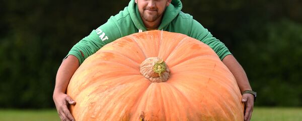 Ричард Манн со своей тыквой, которая выиграла в конкурсе овощей на ежегодной осенней выставке цветов и овощей в Харрогейте, 2017 год. Вес тыквы — 310,7 кг. Ричард Манн со своей тыквой, которая выиграла в конкурсе овощей на ежегодной осенней выставке цветов и овощей в Харрогейте, 2017 год. Вес тыквы — 310,7 кг. - Sputnik Узбекистан