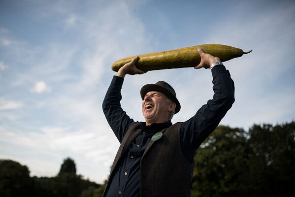 Садовод Грэм Бэррэтт держит в руках огурец длиной 92 см, победивший в категории самых длинных огурцов на конкурсе гигантских овощей в Харрогейте, Великобритания. 2019 год - Sputnik Узбекистан