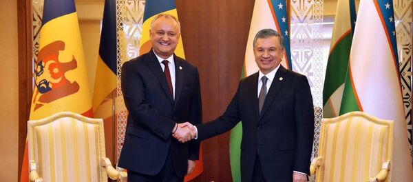 Shavkat Mirziyoyev vstretilsya s Igorem Dodonom Shavkat Mirziyoyev vstretilsya s Igorem Dodonom - Sputnik O‘zbekiston