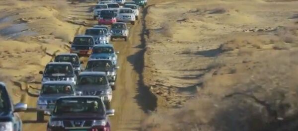 Принцу Дубая устроили роскошную соколиную охоту в Навои - Sputnik Узбекистан