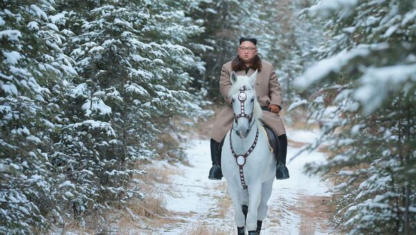 Северокорейский лидер Ким Чен Ын скачет на лошади во время снегопада на горе Паекту - Sputnik Узбекистан
