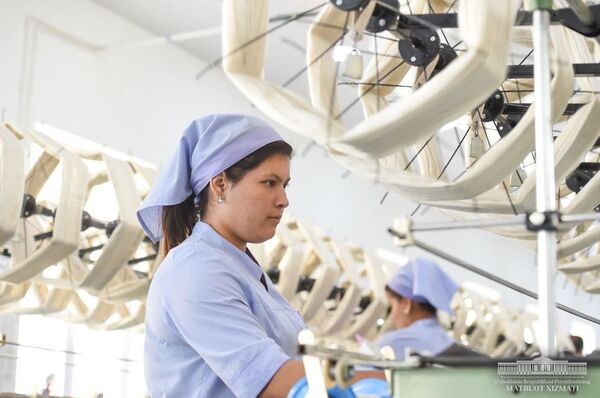 Шелковое царство: как работает предприятие Сурхон ипаги в Термезе - Sputnik Узбекистан