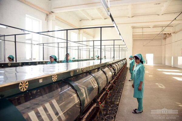 Шелковое царство: как работает предприятие Сурхон ипаги в Термезе - Sputnik Узбекистан