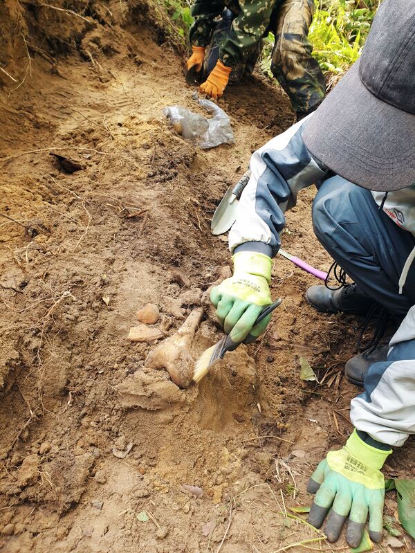 Вернуть солдата домой: как узбекистанцы ищут погибших красноармейцев - Sputnik Узбекистан