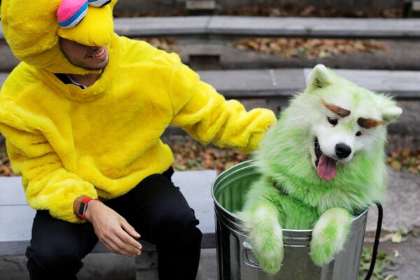 Участник ежегодного Хэллоуин-парада собак в Нью-Йорке - Sputnik Узбекистан