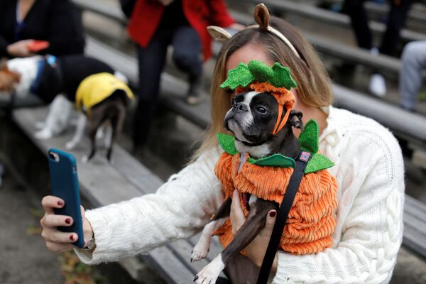 Участники ежегодного Хэллоуин-парада собак в Нью-Йорке - Sputnik Узбекистан
