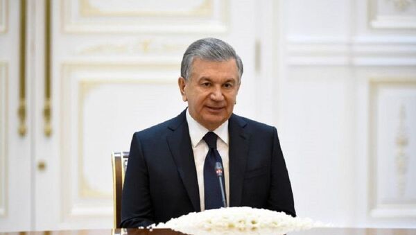 Шавкат Мирзиёев принял делегацию индийского штата Гуджарат - Sputnik Узбекистан