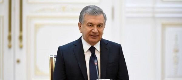 Шавкат Мирзиёев принял делегацию индийского штата Гуджарат - Sputnik Узбекистан