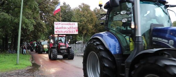 Волна протестов в ЕС: чем недовольны европейские фермеры - видео - Sputnik Узбекистан