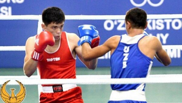 В Узбекистане стартовал чемпионат по боксу - Sputnik Узбекистан