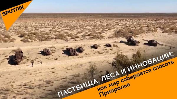 Беларусь поможет в ликвидации последствий высыхания Арала — министр - Sputnik Узбекистан