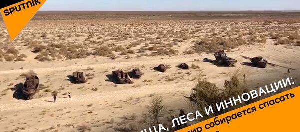Пастбища, леса и инновации: как мир собирается спасать Приаралье - Sputnik Узбекистан