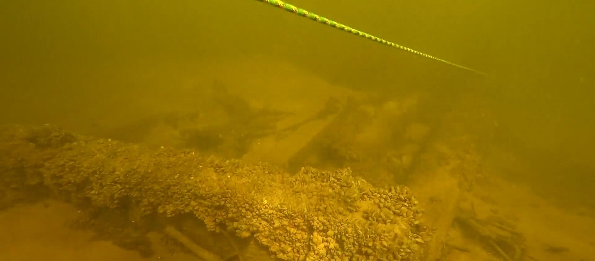 Археологи нашли на дне Волги затонувшее средневековое судно - видео - Sputnik Узбекистан, 1920, 26.10.2019