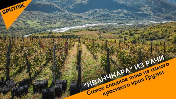 Хванчкара из Рачи: Самое сладкое вино из самого красивого края Грузии - Sputnik Узбекистан