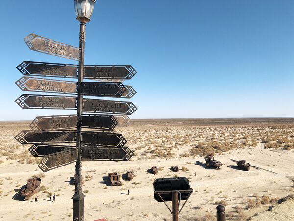 Высадка леса на дне Аральского моря возобновилась - Sputnik Узбекистан