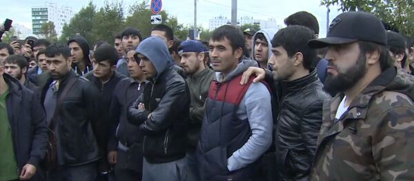 Куда пойти работать мигрантам - Sputnik Узбекистан