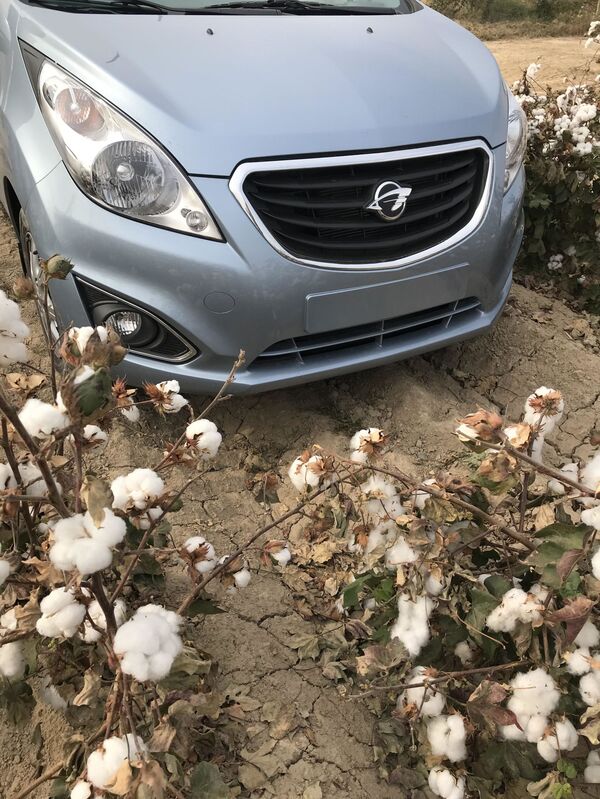 Белорусские блогеры протестировали автомобили Ravon - Sputnik Узбекистан