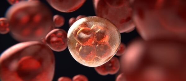 Деление клетки - Sputnik Ўзбекистон