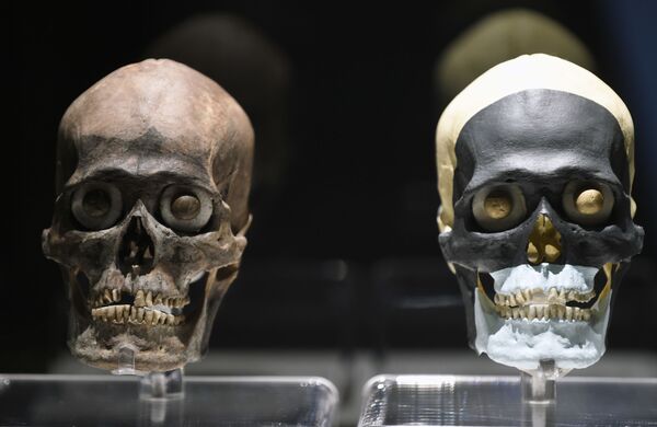 Относящиеся к культуре ацтеков черепа на выставке El Colorido de la Gran Tenochtitlan в музее мэра Темпло в Мехико  - Sputnik Узбекистан