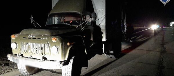 В Каракалпакстане в результате наезда грузового автомобиля погибли два пешехода. - Sputnik Ўзбекистон