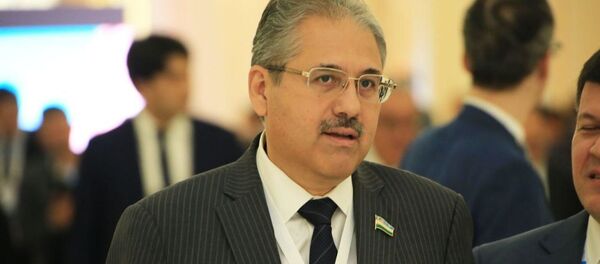 Алишер Курманов, председатель комитета Сената по вопросам международных отношений, внешнеэкономических связей, иностранных инвестиций и туризма Алишер Курманов, председатель комитета Сената по вопросам международных отношений, внешнеэкономических связей, иностранных инвестиций и туризма - Sputnik Ўзбекистон