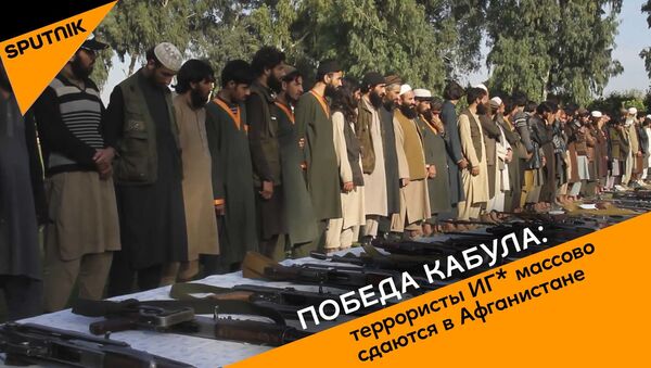 Победа Кабула: террористы ИГ* массово сдаются в Афганистане - Sputnik Ўзбекистон