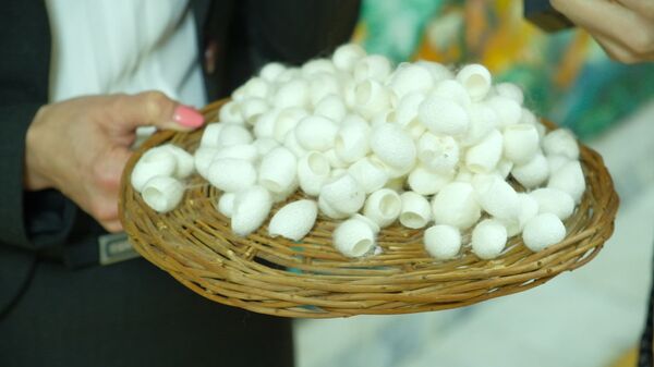 Узбекские производители намерены сделать свой текстиль узнаваемым на рынке - Sputnik Узбекистан