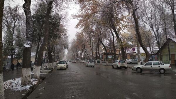 Заснеженные улицы Ташкента - Sputnik Узбекистан